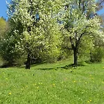 Apartma Pri Ivanu