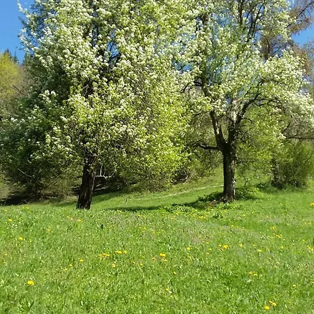Apartma Pri Ivanu