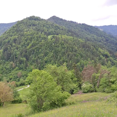 Appartement Apartma Pri Ivanu *