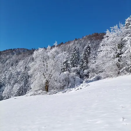 Apartma Pri Ivanu * Spodnja Idrija