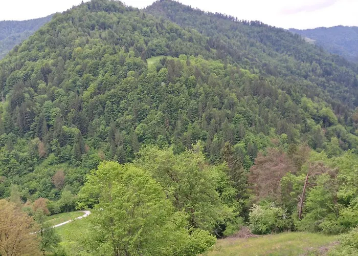 Διαμέρισμα Apartma Pri Ivanu *