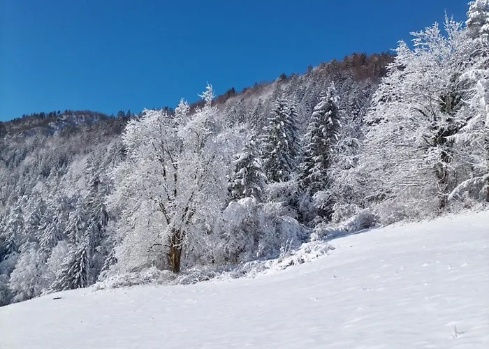 Apartma Pri Ivanu * Spodnja Idrija